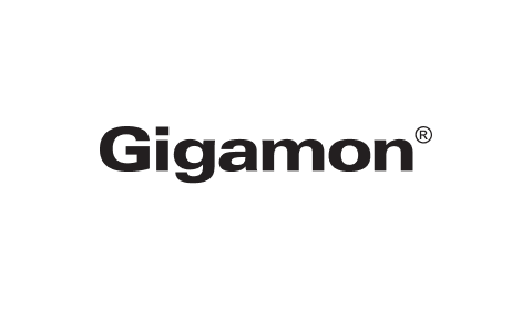 Gigamon Silver Partner