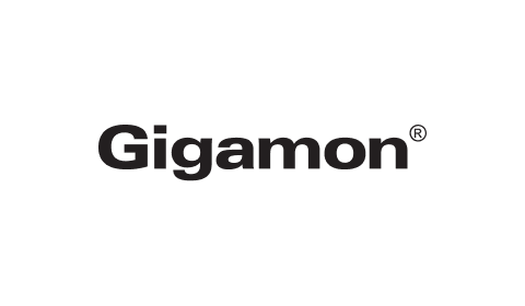 Gigamon Partner